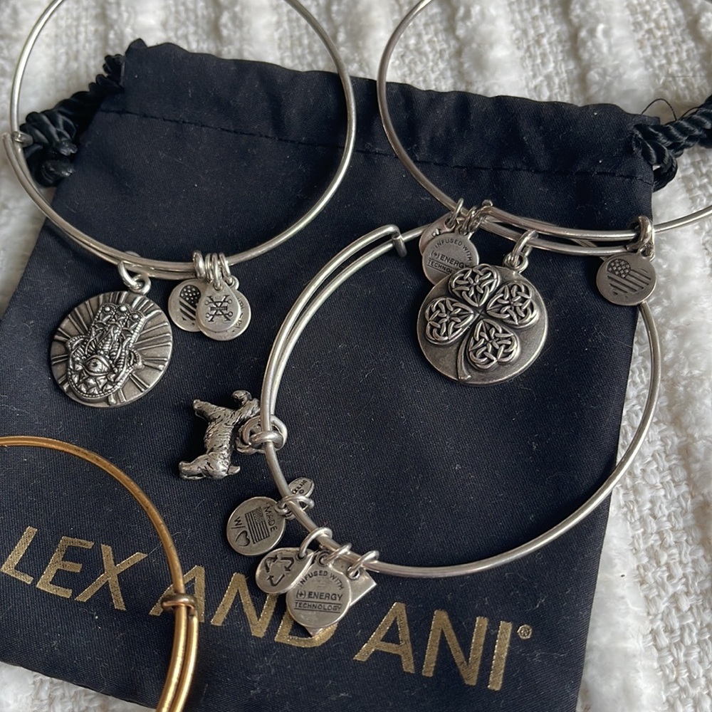 ALEX AND ANI Silver & Gold Bangle Bundle - Picture 5 of 5